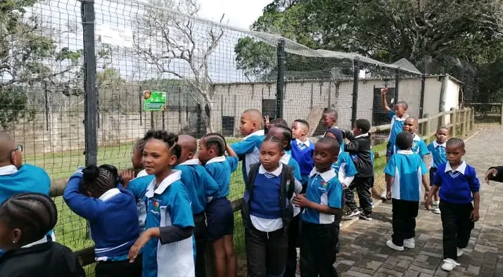 East London Zoo Excursion 4